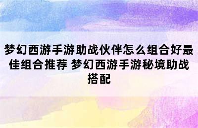 梦幻西游手游助战伙伴怎么组合好最佳组合推荐 梦幻西游手游秘境助战搭配